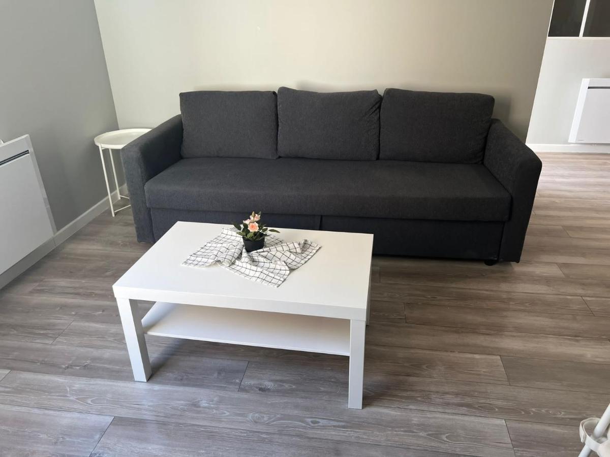 App 1 Mulhouse Centre , 6 Personnes Appartement Buitenkant foto